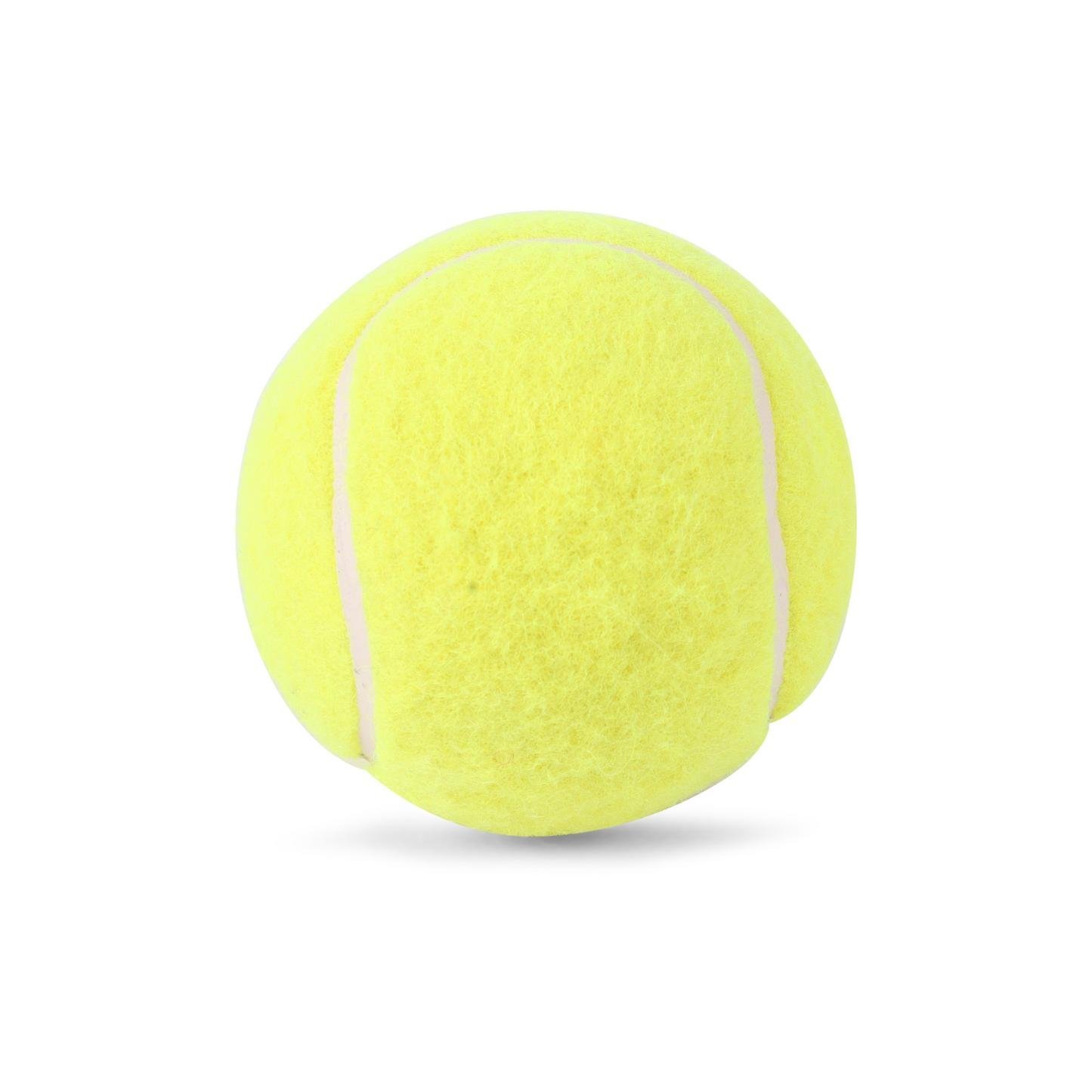 Tennis Cricket Balls Manufacturer for Practice & Recreational Cricket